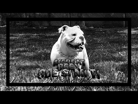 Deex ft Marko Moreno Prljavi Zapad