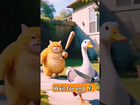 🤣सोचा क्या हो गया क्या। cat video #shorts #funnycat