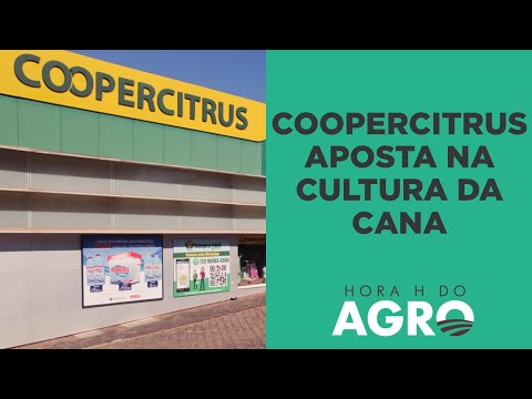 Conheça uma das maiores cooperativas agrícolas do Brasil | HORA H DO AGRO