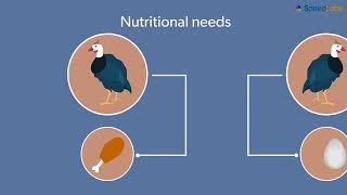 Class-9-Science-Ch-15-Improvement In Food Resources-Topic- Poultry Farming and Egg and Broiler