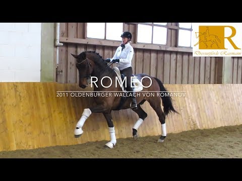 SOLD!!Dressurpferd - 2011 Oldenburger Wallach von Romanov, Stm. ca. 1,79, S-Dressur - Romeo