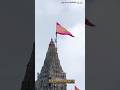 Dwarkadhish Dhwaja Arohan Dwarikadish Treanding Shortvideo Dwarka Love Song Edit Viralvideo