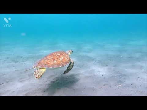 Hard teaching Naat_e_Rasool