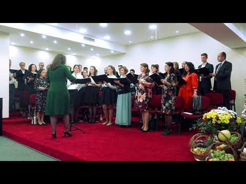 Corul AZS Viena - Stăm împreună, în mâna Sa