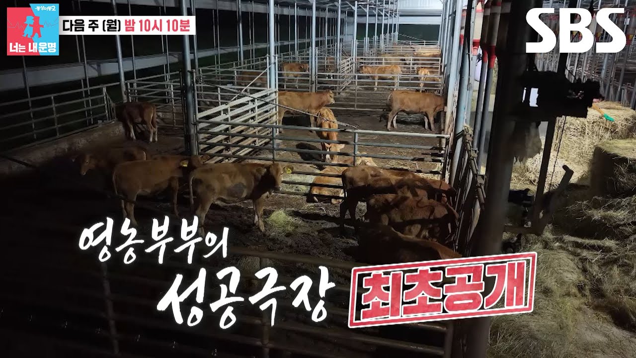 [11월 10일 예고] 트랙터 여전사×소몰이 대장, ‘비료포대 부부’의 영농 생활 최초공개!