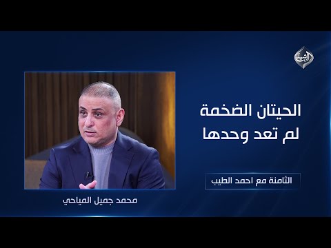 فيديو | الثامنة مع احمد الطيب || الحيتان الضخمة لم تعد وحدها