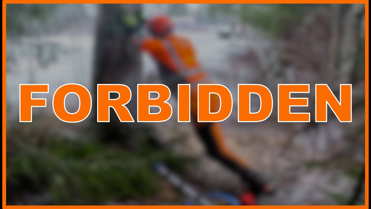 STOP USING THIS ILLEGAL TREE-CUTTING TECHNIQUE!