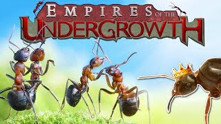 BUILDING AN ANT COLONY! - Empires of the Undergrowth Gameplay - Ant Colony Simulator!