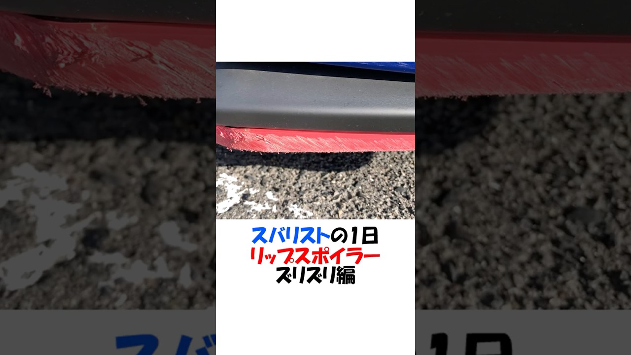 スバリストの1日 リップスポイラーズリズリ編 #shorts #wrx #wrxsti #スバル #スバリスト