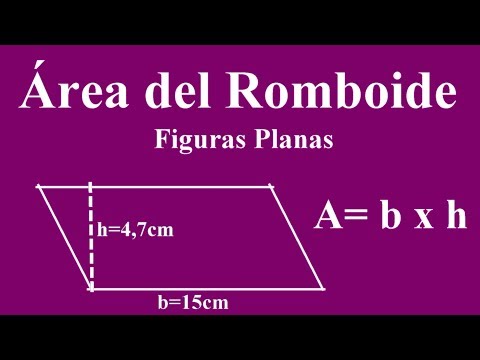 Área de un romboide en Educación Primaria
