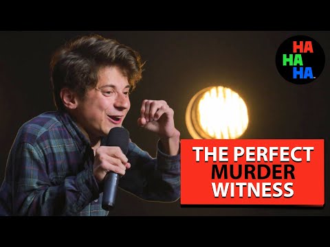 Adam Gilbert - The Perfect Murder Witness