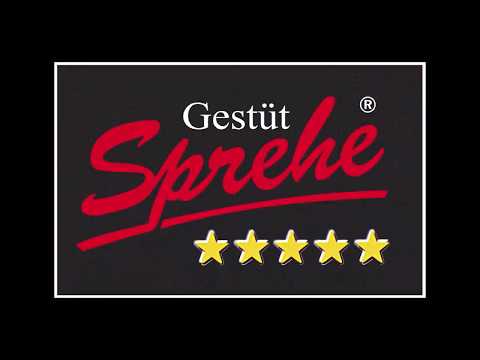 For Planet Hengstvorführung 2020