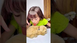 NÃO PODE LAMBER O CACHORRO #shorts