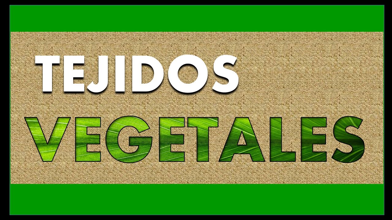 Episodio 13. TEJIDOS VEGETALES