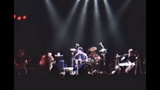 Lou Reed  " Doin The Things  We Want To "    07 16 86   Ritz