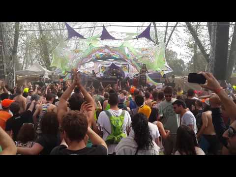 1200 micrograms VS Raja Ram, TIP