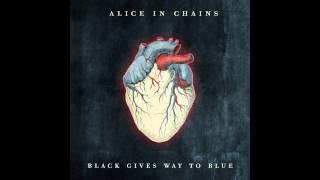 Alice in Chains - A Looking in View