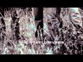 The Steeldrivers - Hear The Willow Cry (Official Audio)