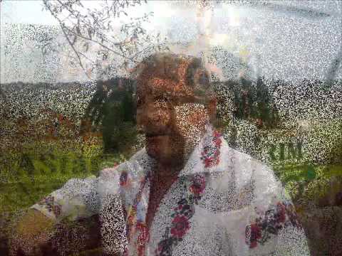 Petre Petruse -Pe cumpana la fantana.wmv