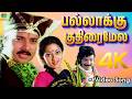 பல்லாக்கு குதிரைமேல Pallakku Kuthiraimele Karthik Kanaka 4K Song