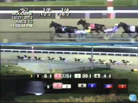 2012 Breeders Crown Open Pace - theharnessedge.com