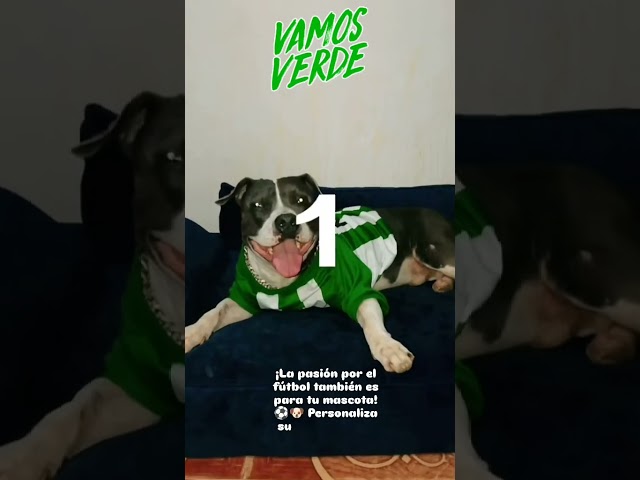 Vídeo relacionado con Cuteighteen Tops de verano para adolescentes, ropa Cutecore para mujer, camisetas japonesas Kawaii con gráficos de gatos, camisetas divertidas de gran tamaño, camisetas casuales, Rosa, S