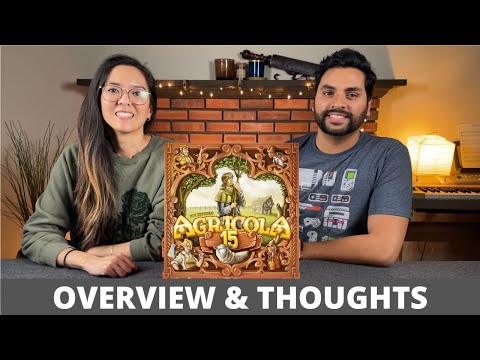 Agricola 15th Anniversary Big Box - Overview & Thoughts