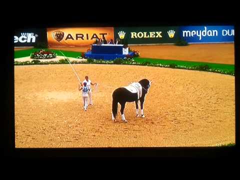 Robin @WEG Kentucky 2010