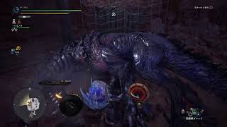 MHWIやって行きます！参加あり