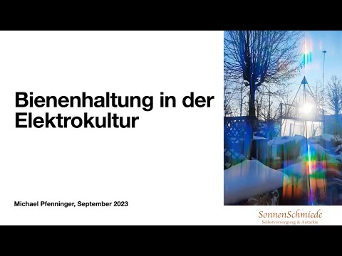 Bienen ohne Grenzen FreeTheBees Michael Pfenninger Elektrokultur