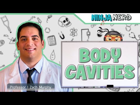 Body Cavities & Serosal Membranes