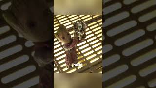 Download lagu Aksi Groot Yang Berniat Menolong Sandera Yang Dikurung Tapi Ketahuan #shorts #film #alurceritafilm mp3