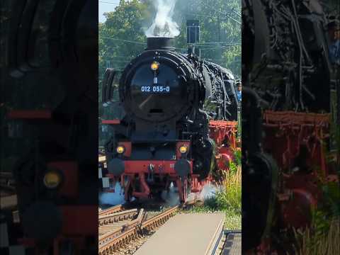 BR012 saust durch Hamburg Dammtor 🤩