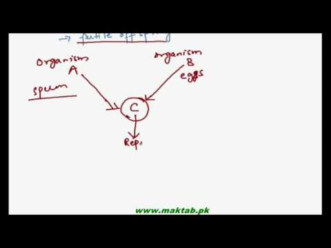 FSc Biology Book1, CH 5, LEC 1: Introduction to Biological Classification