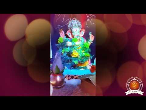 Mohit Dixit Home Ganpati Decoration Video