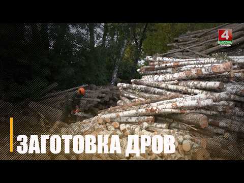 Узнали, как можно купить дрова на Гомельщине видео