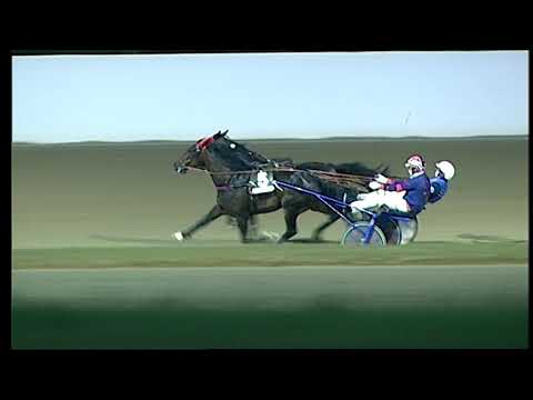 Napoli Trotto 17/06/2021 - 4ª corsa