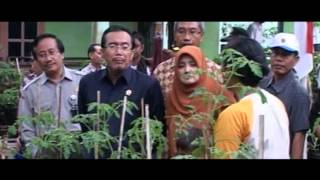 preview picture of video 'KRPL-Tinjauan Mentan di lokasi Pacitan'