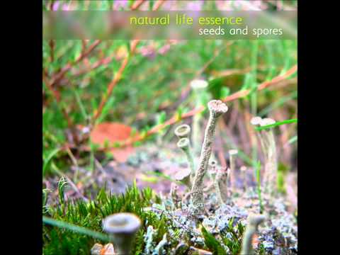 Natural Life Essence - Seeds and Spores [Full Album]
