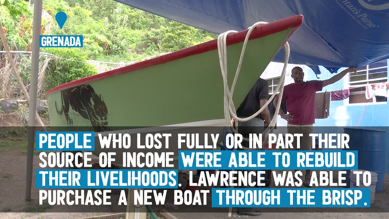 BRISP Bounce Back — Grenadians Share How WFP Helped Them Recover After Hurricane Beryl