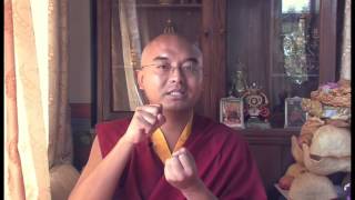 Mingyur Rinpoche on the Four Thoughts