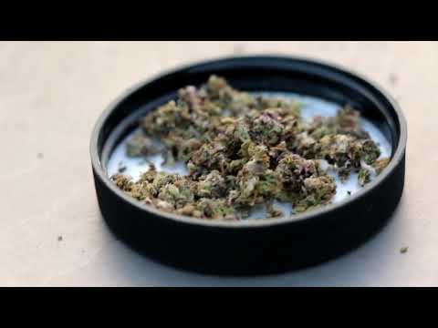 Transaction Jacksun | Send It (freestyle)