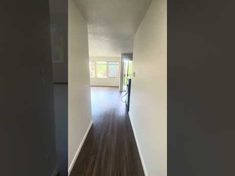 2034 Minor Apartments - Video 2 of 2