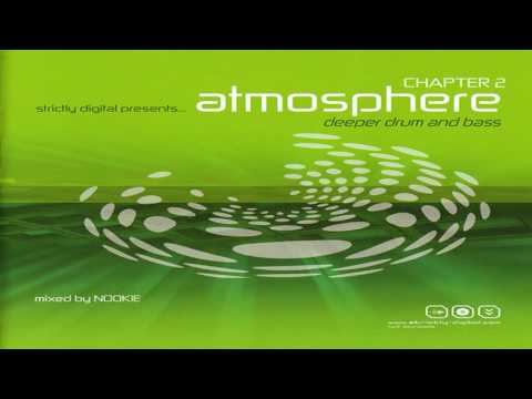 Greenfly - Music Has A Voice (Pete Rann Remix)