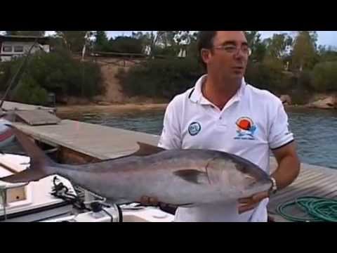 Viaggi.di.pesca2 - 1a parte.Traina con il vivo