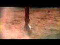 Razor Hoof Music Video
