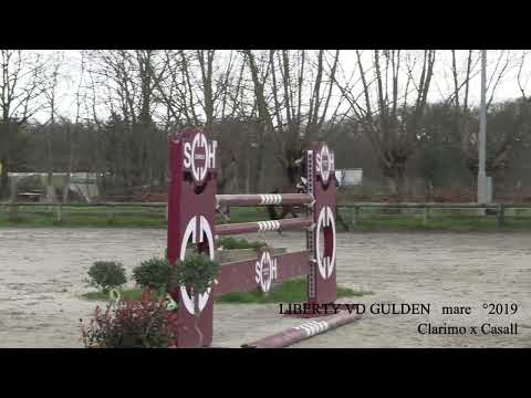 Liberty VD Gulden