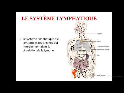 the lymphatic system (anatomy course number 8)