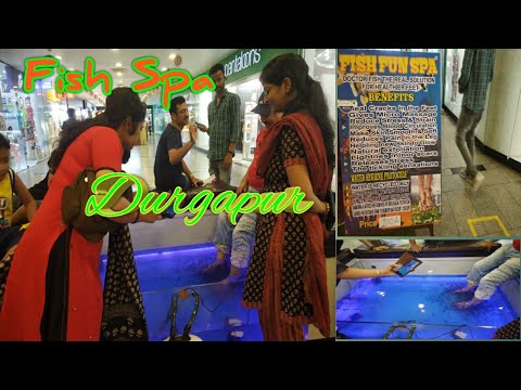 ফিস স্পা দুর্গাপুর । junction mall।। @bikersanjib