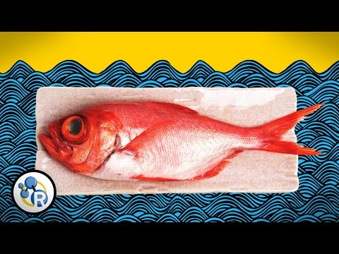 download lagu mp3 mp4 Soaking Fish In Milk, download lagu Soaking Fish In Milk gratis, unduh video klip Soaking Fish In Milk